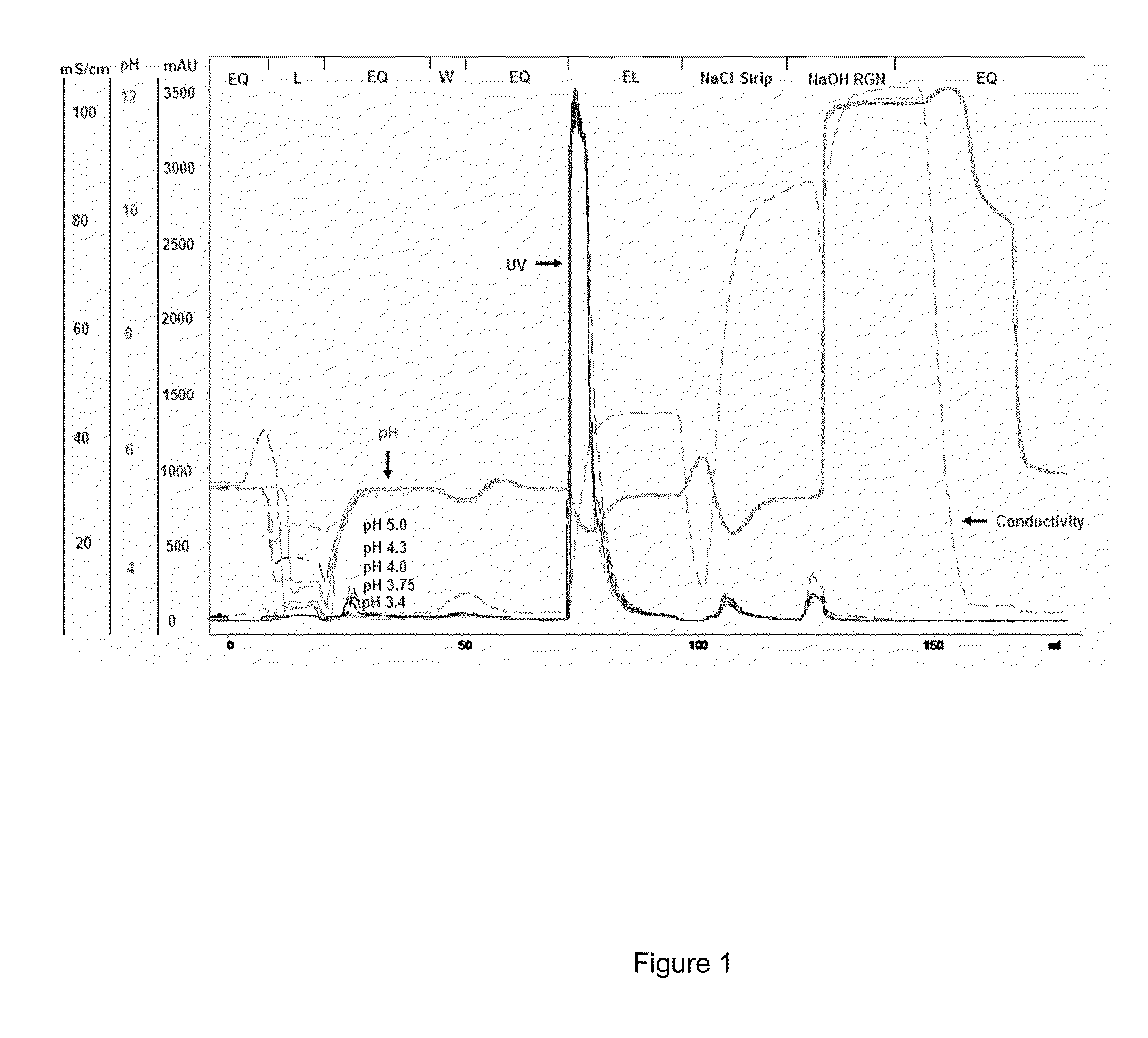 Methods For Purifying A Target Protein From One or More Impurities In A Sample