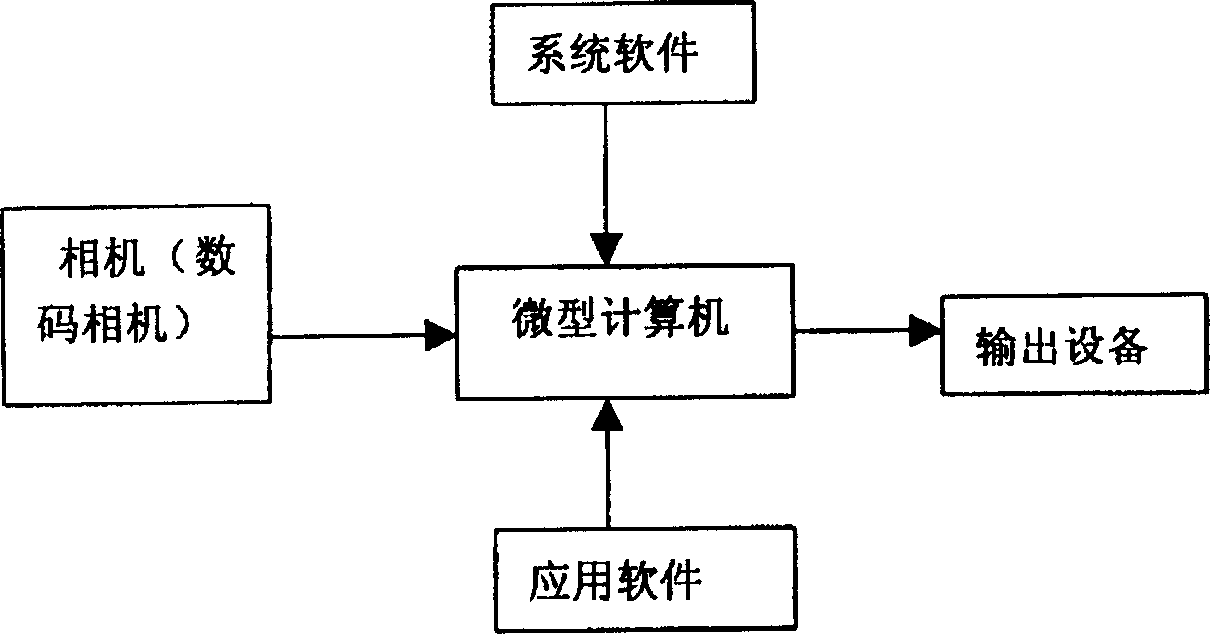 System for tesing optical enviroment by image processing technique