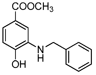 Method for preparing alkylaryl amine compound through microwave synthesis