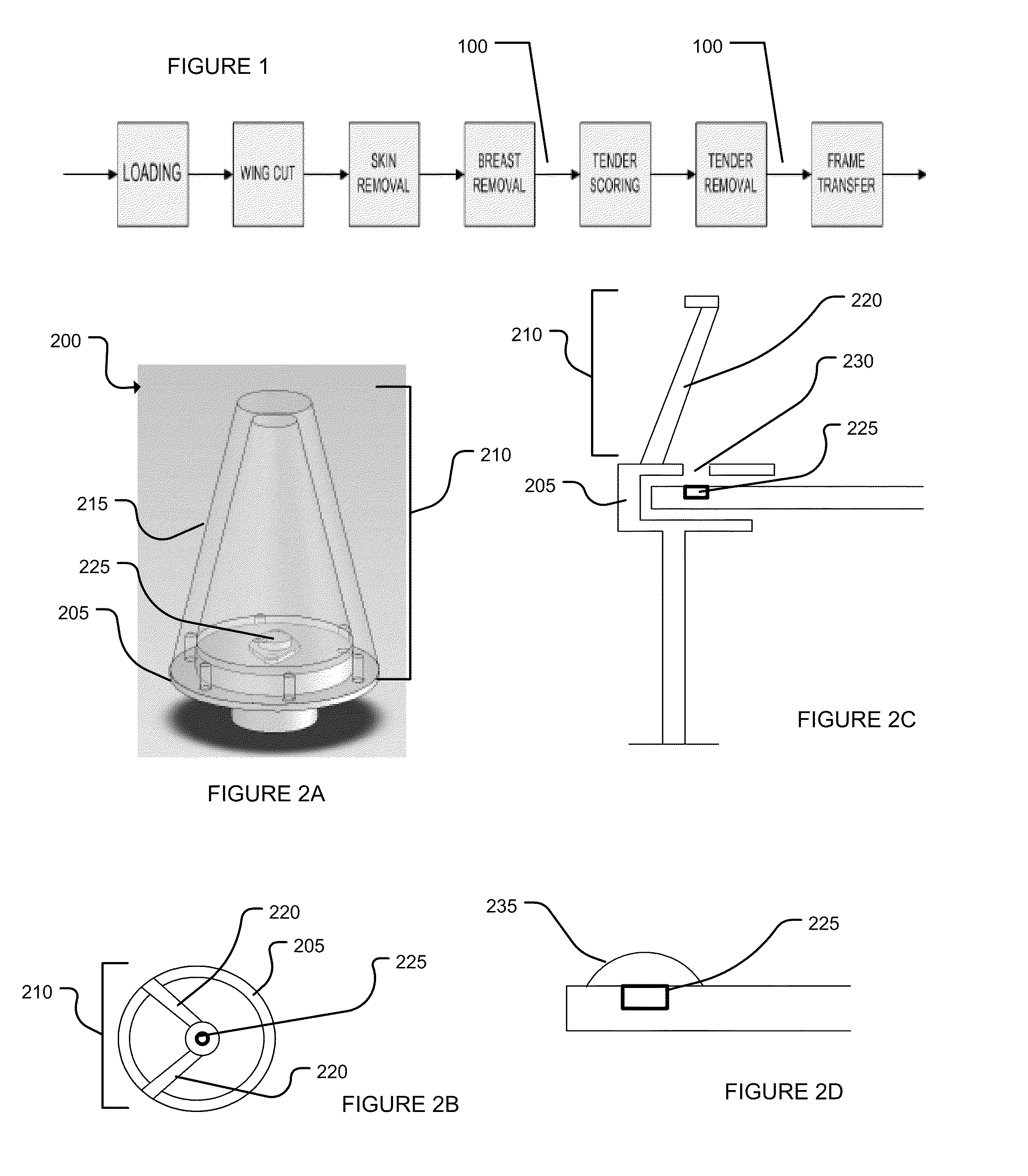 Systems and methods for the detection of anatomical structures and positions thereof