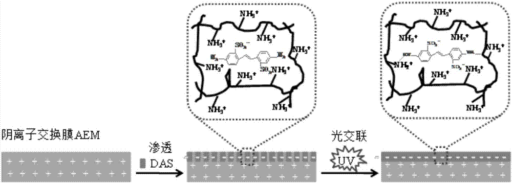 Preparation method of anion-exchange membrane with univalence and multivalence selective separation functions