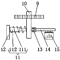 Irrigation device for planting of fruits