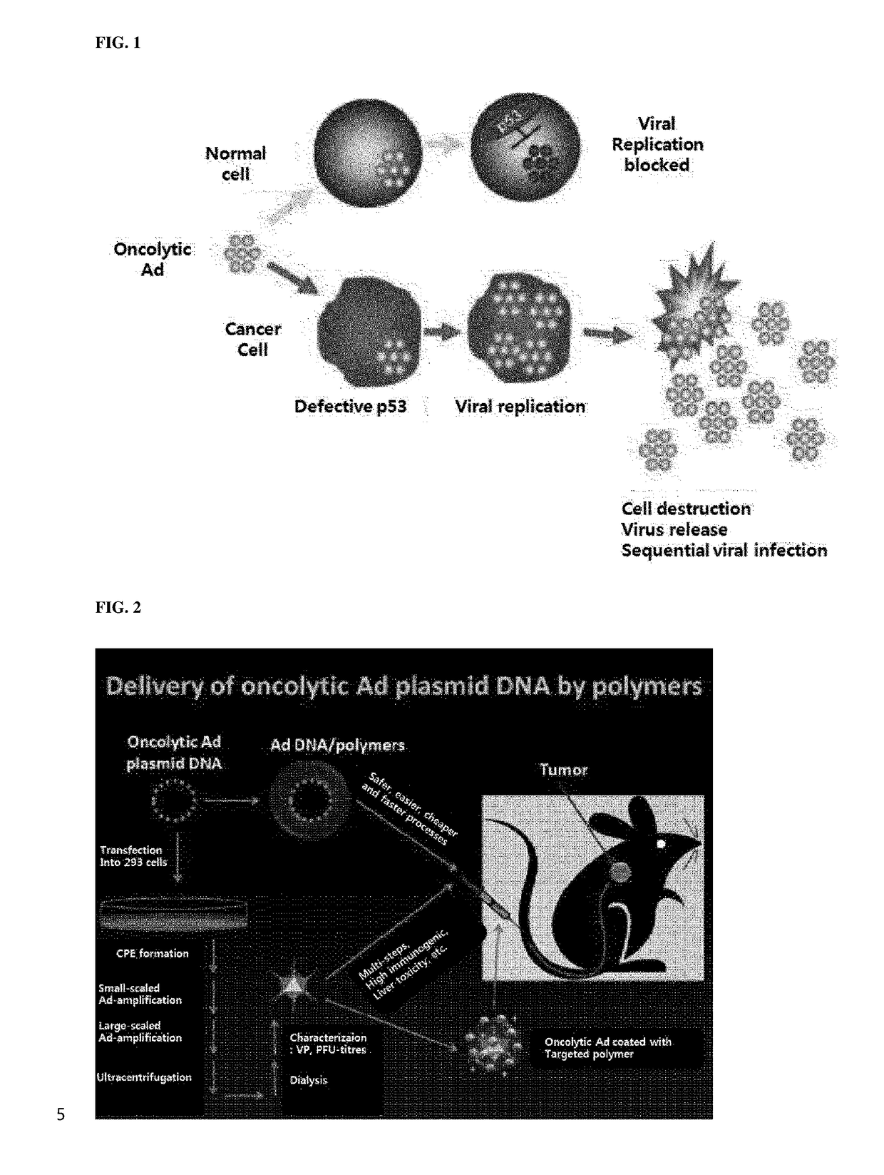 Composition for intracellular delivery containing adenovirus protein vi-derived peptide and anticancer pharmaceutical composition containing same