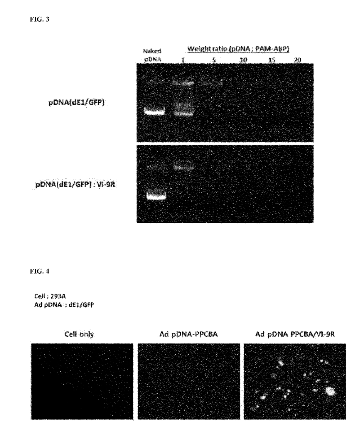 Composition for intracellular delivery containing adenovirus protein vi-derived peptide and anticancer pharmaceutical composition containing same