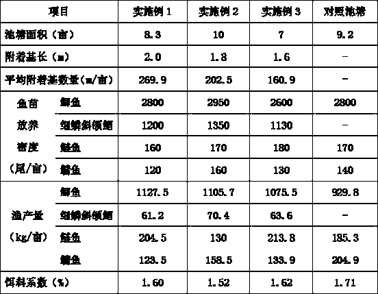 The culture method of crucian carp in the pond of attached substrate ecology