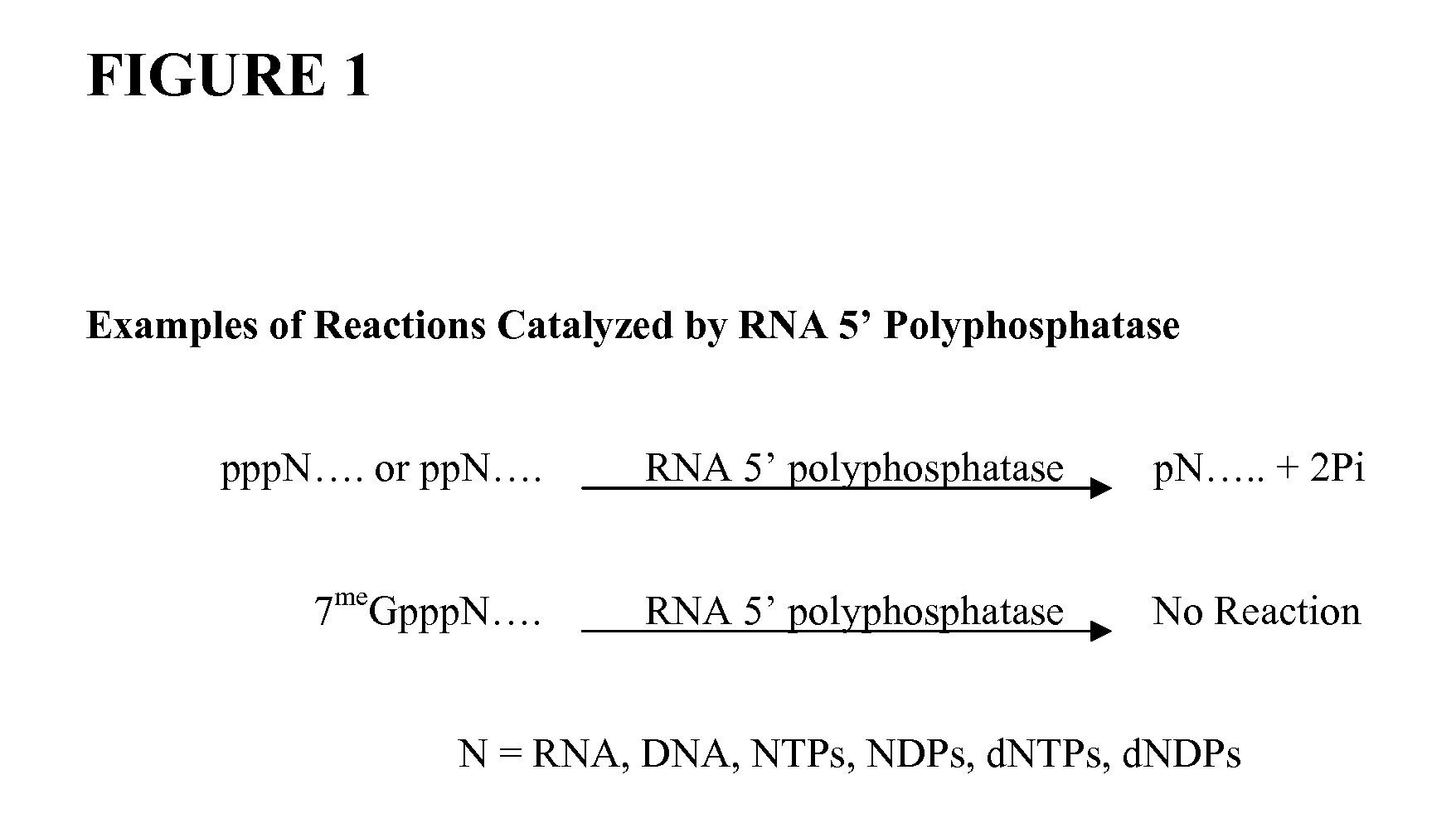 Selective 5' Ligation Tagging of RNA