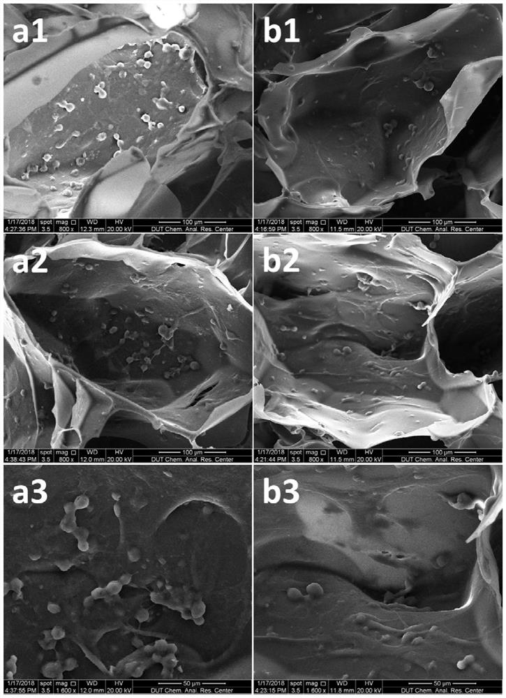 A biomimetic composite scaffold material doped with graphene and its construction method