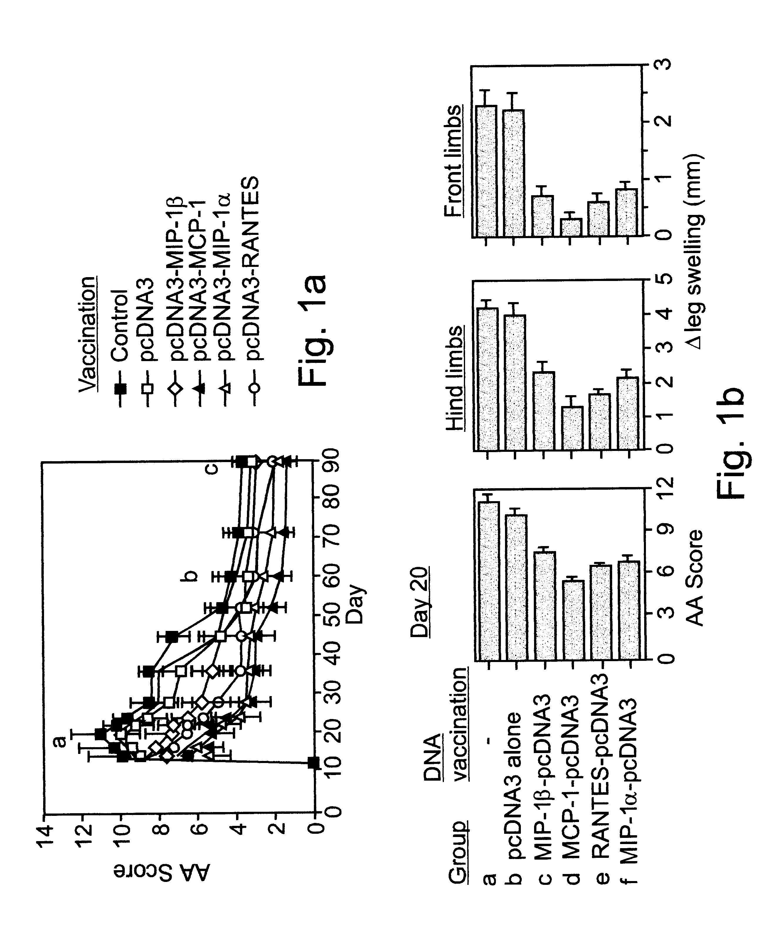 Polynucleotides encoding MIP-1alpha, MCP-1, MIP-1beta, Rantes and TNF-alpha, and methods for treating rheumatoid arthritis