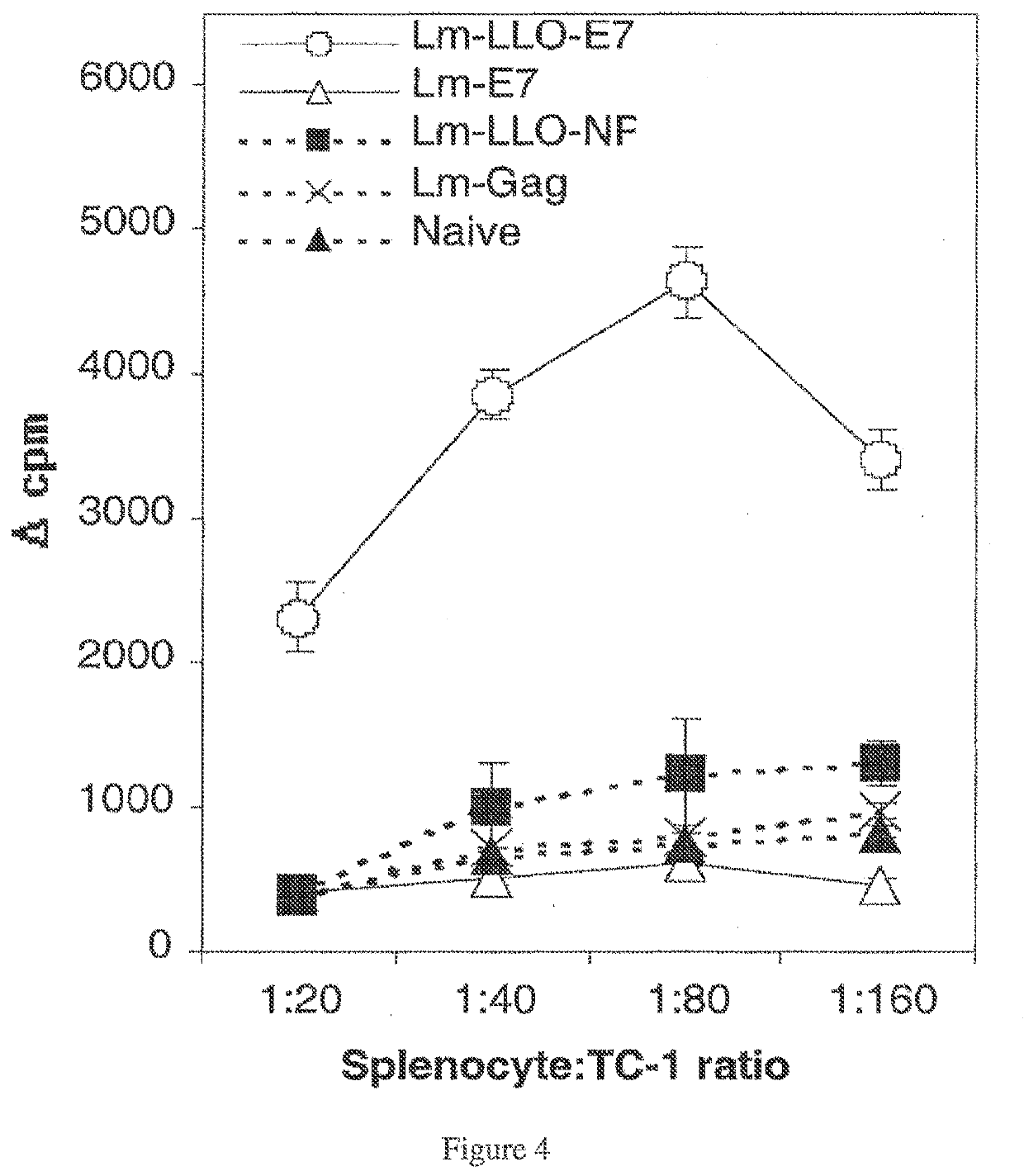 Combination of listeria-based vaccine with Anti-ctla-4 or Anti-cd137 antibodies