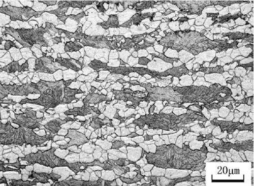 High-elongation hot-rolled microstructure regulating steel with tensile strength greater than or less than 800MPa and production method thereof