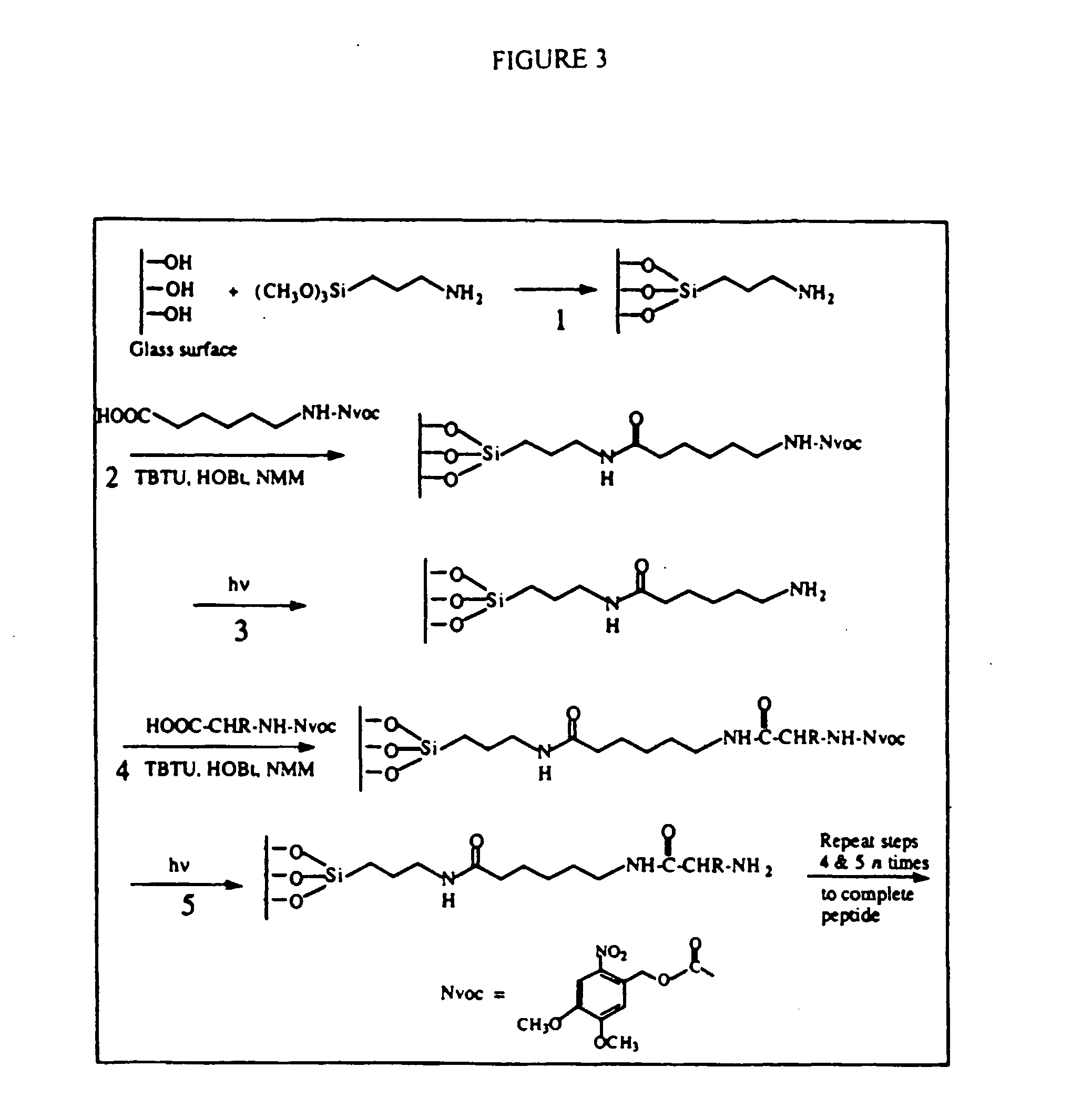 Apparatus, composition and method for proteome profiling