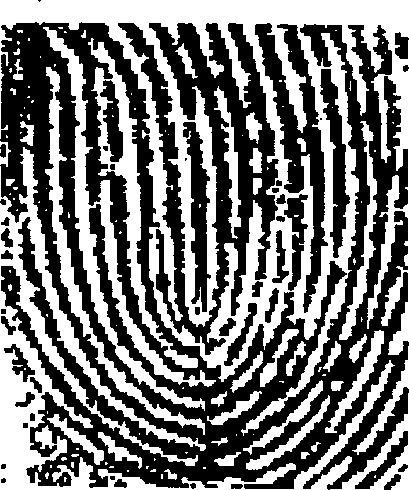 Capacitance type fingerprint access chip