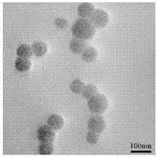 Photo-polymerization method for preparing hydrophilic fluorescent nano spheres and application thereof in detection of 2,4,6-trinitrotuluene explosive