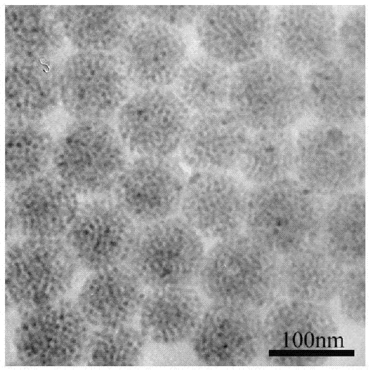 Photo-polymerization method for preparing hydrophilic fluorescent nano spheres and application thereof in detection of 2,4,6-trinitrotuluene explosive