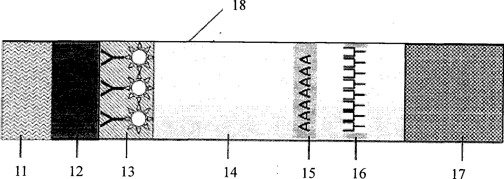 Fluorescent micro-ball immune chromatography test paper strip for detecting residual animal medicine and preparing method thereof