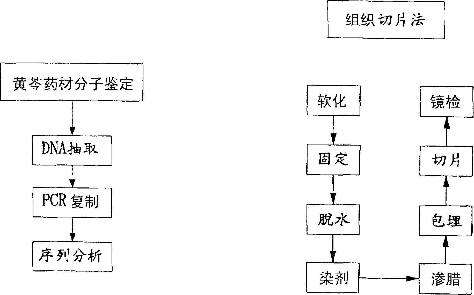 Identifying and comparing method for plant medicinal material