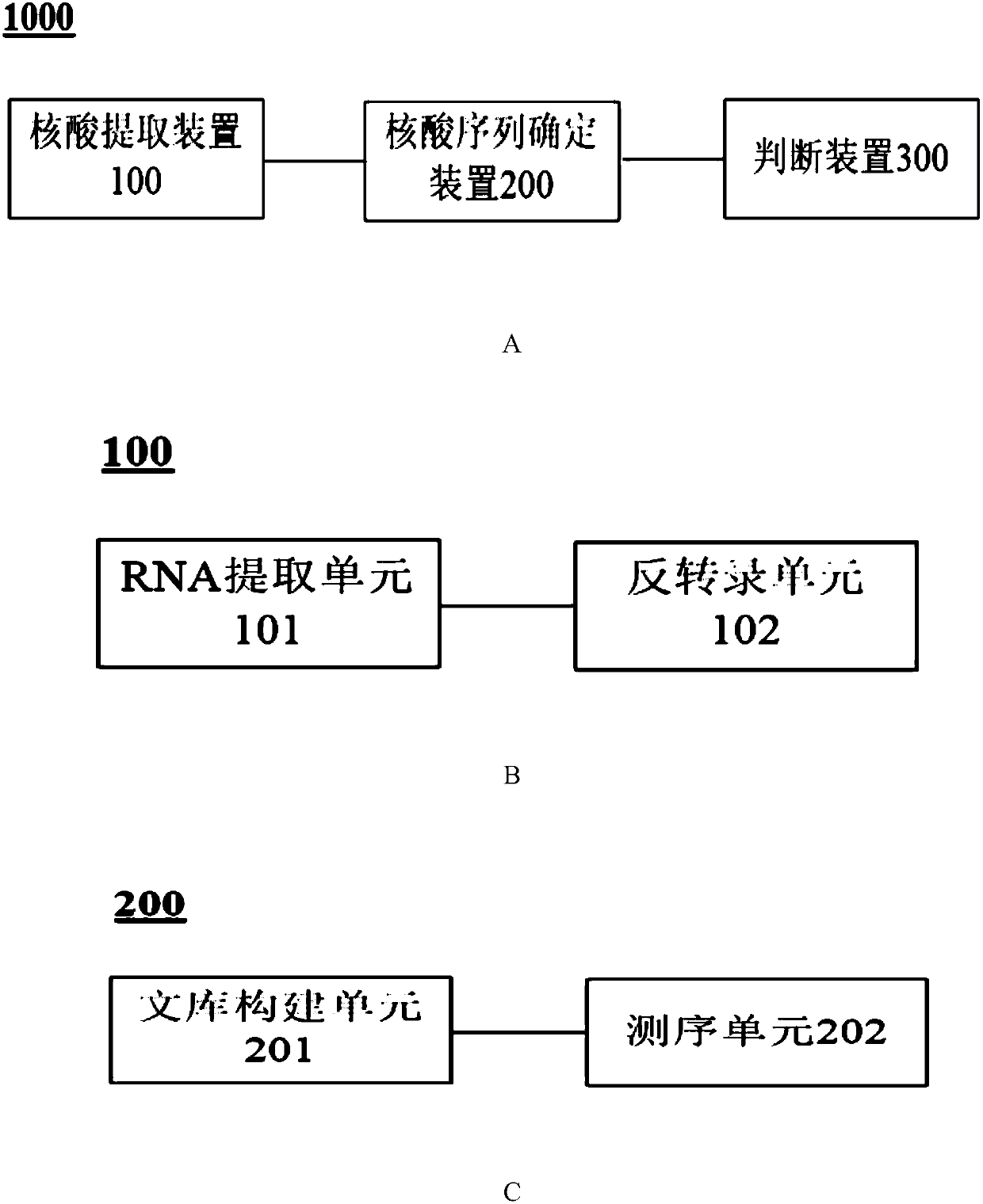 Separated encoded IFNLR1 mutant nucleic acid and application thereof