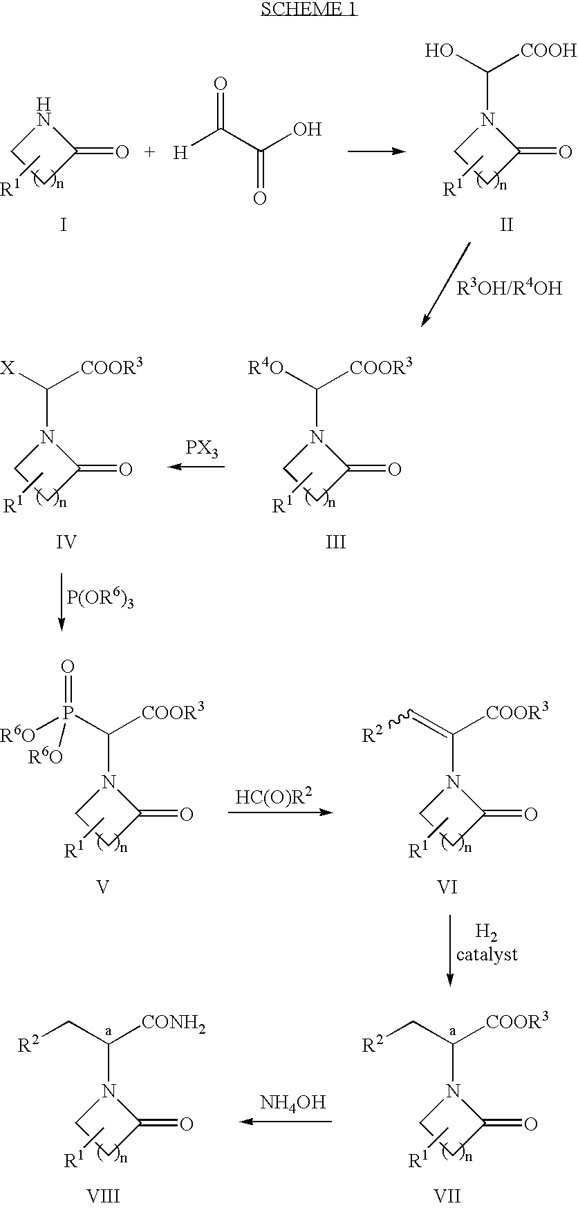 Highly enantiomerically pure lactam-substituted propanoic acid derivatives and methods of making and using same
