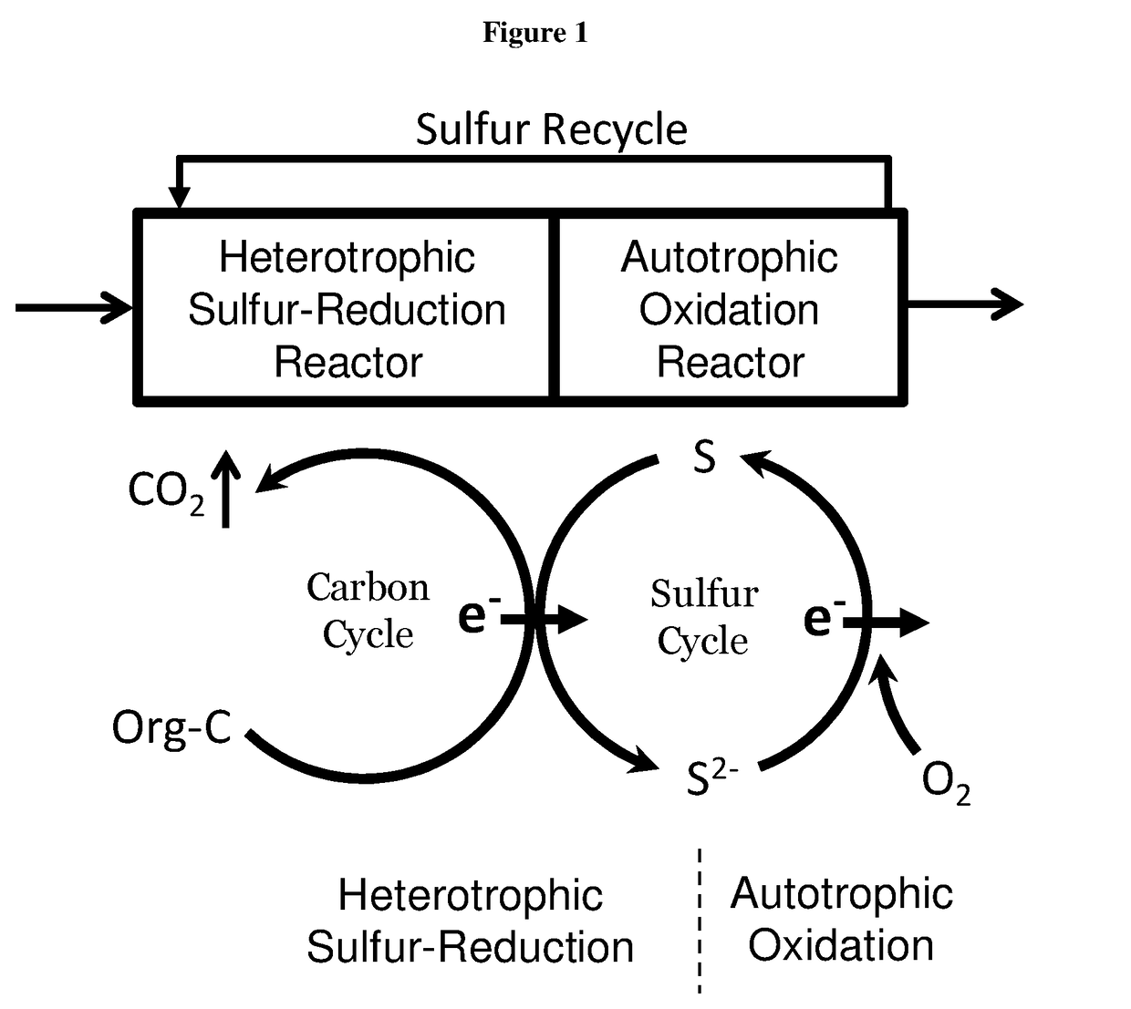 Internal sulfur cycling sani (isc-sani) process for biological wastewater treatment