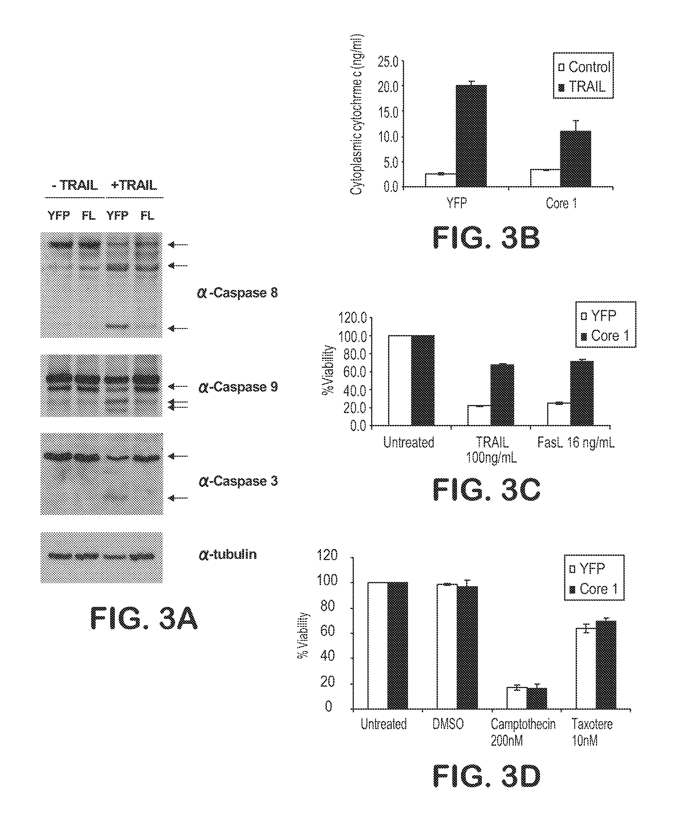 Composition and Method for Treatment of Tumors