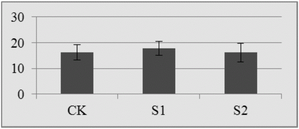 Method for accelerating of petunia seedling growth