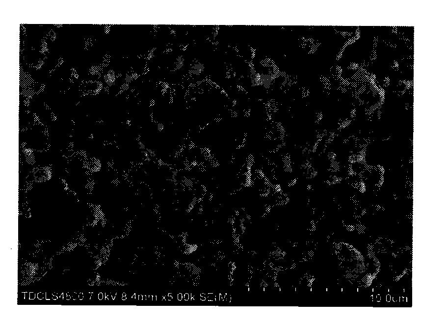 Beta-Ca2P2O7/CaSO4 multiphase biological ceramic and preparation method thereof