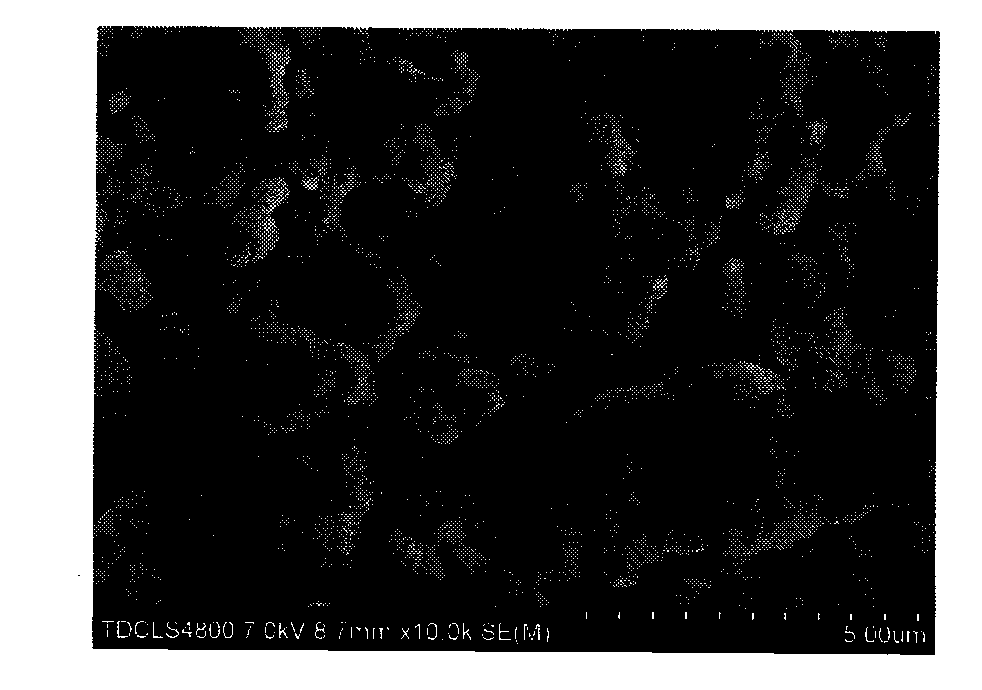 Beta-Ca2P2O7/CaSO4 multiphase biological ceramic and preparation method thereof