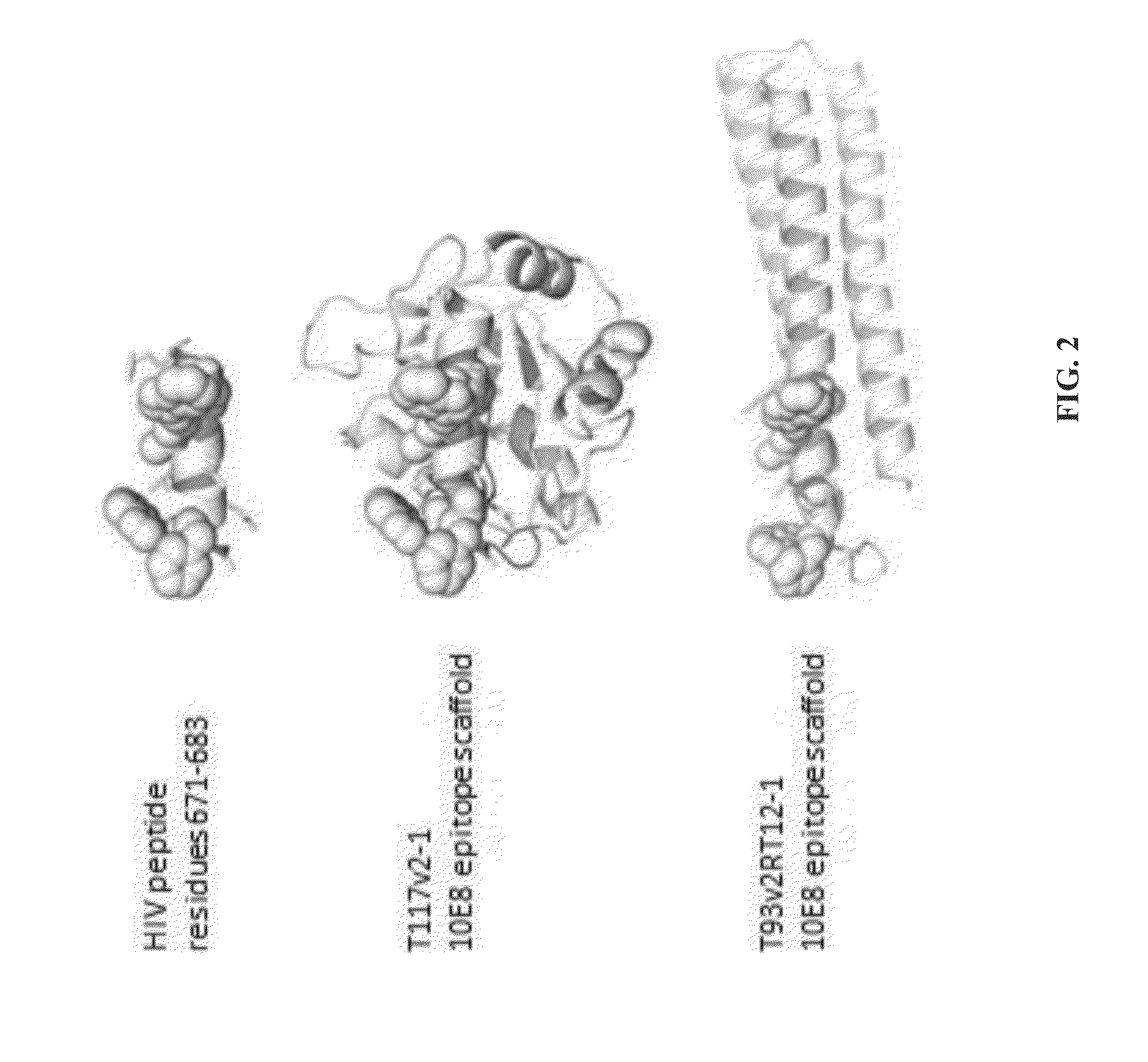 Immunogens of hiv-1 broadly neutralizing antibodies, methods of generation and uses thereof