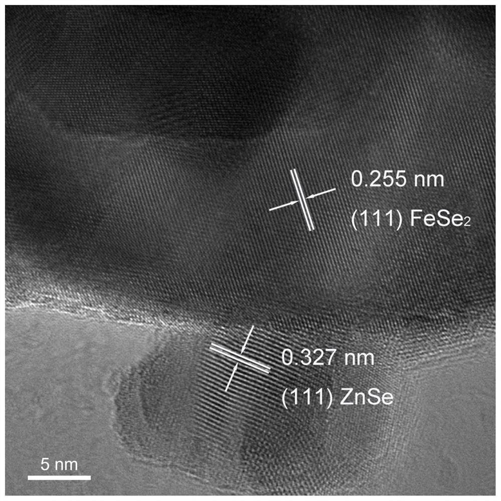 Zero-dimensional ZnSe-one-dimensional FeSe2 heterojunction catalyst as well as preparation method and application thereof