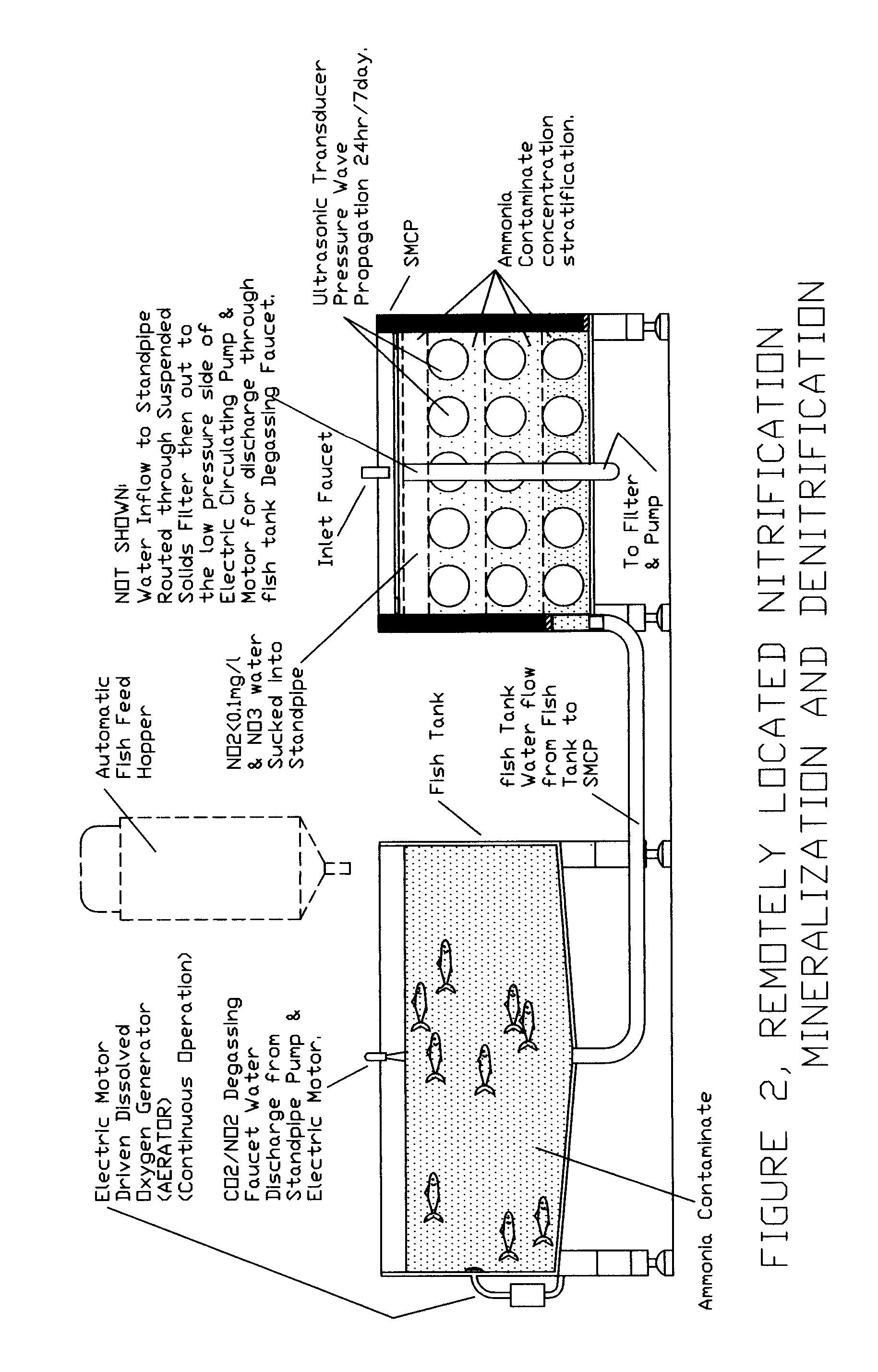 Method And Device For Removal Of Ammonia And Other Contaminants From Recirculating Aquaculture Tanks