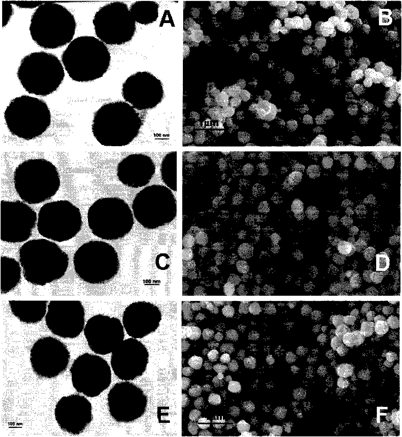 Magnetic Fe3O4 polymer submicron sphere prepared by hydro thermal method and application thereof