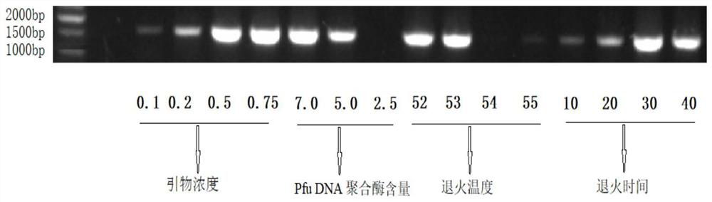 Method for analyzing and identifying clinical difficult strains by 16S rRNA gene sequence