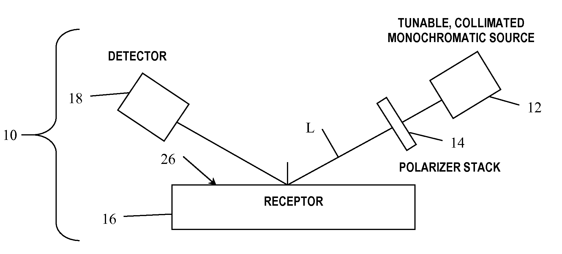 Arrayed detector system for measurement of Anti-viral immune response