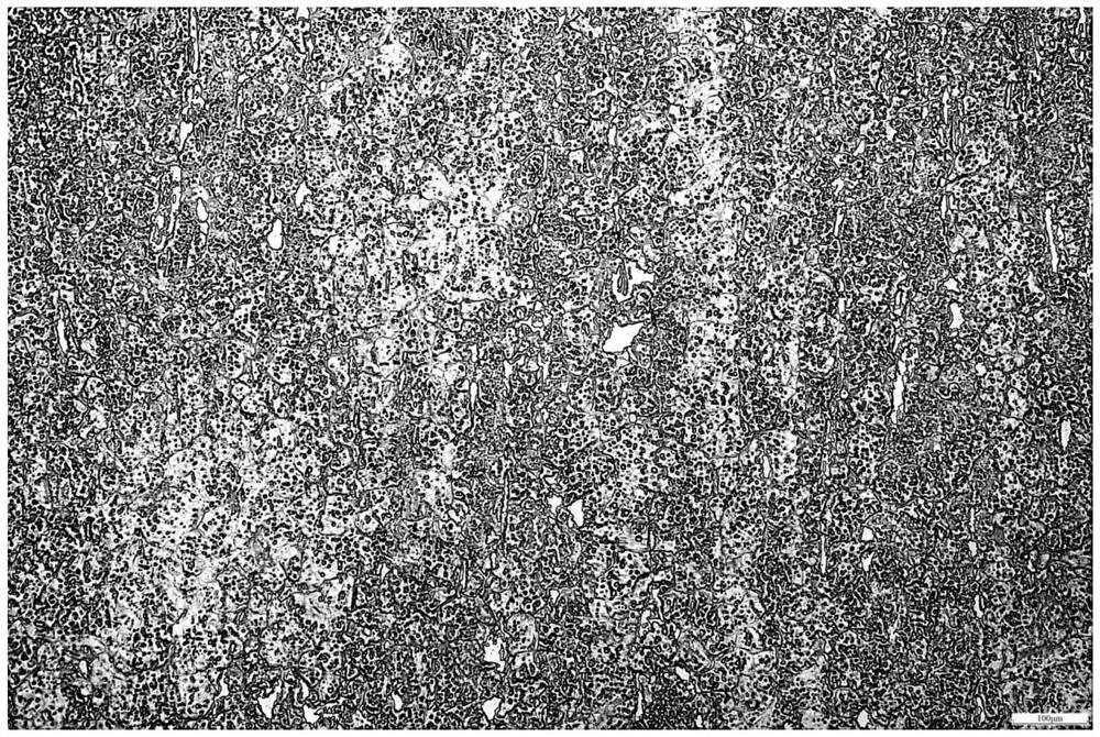 Metallographic corrosion method for high-carbon martensitic stainless steel grain boundary