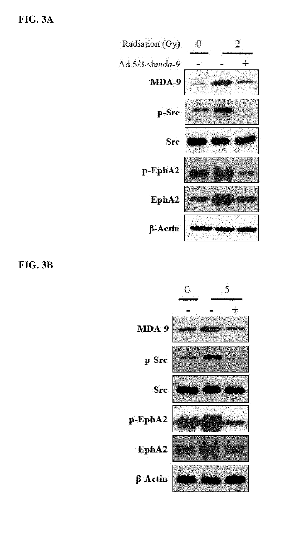 Inhibitors of cancer invasion, attachment, and/or metastasis