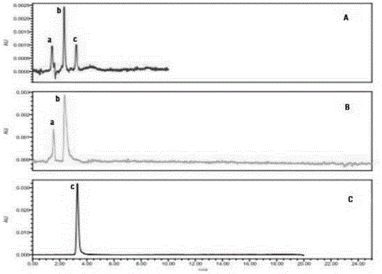 Isoniazid caffeic acid amidated derivative and application thereof in anti-mycobacterium tuberculosis drug