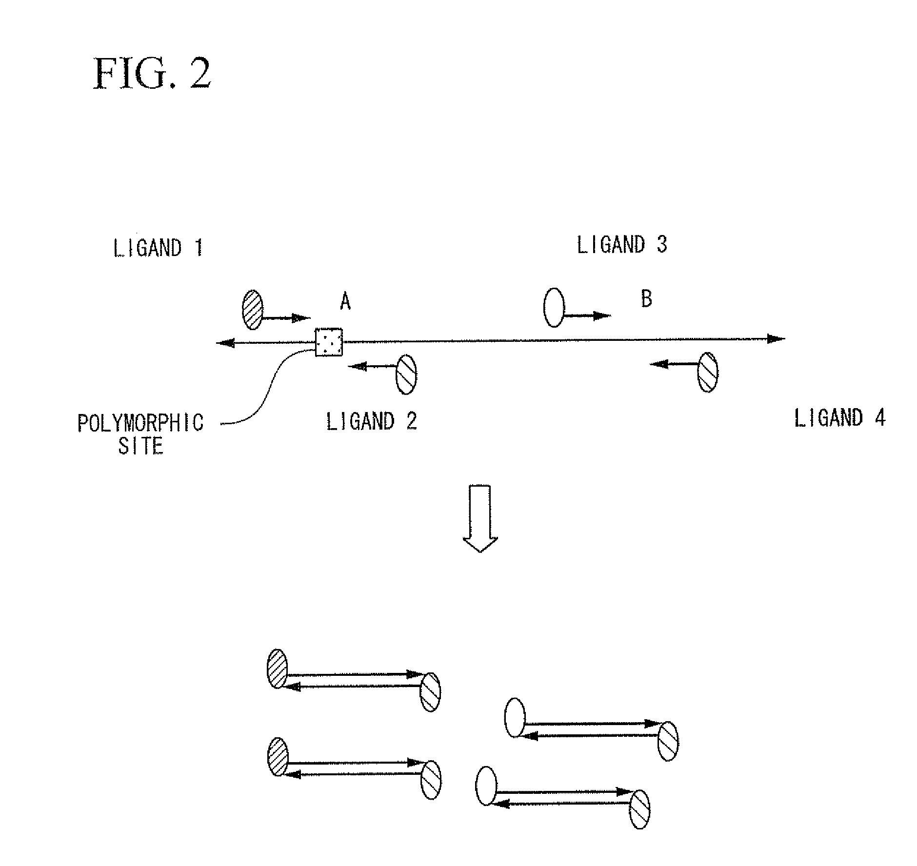 Method of analysis of primary structural change of nucleic acid