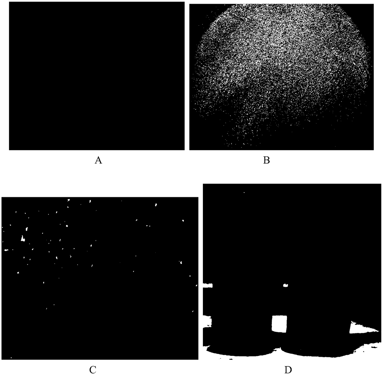 Probiotics microcapsule as well as preparation method and application thereof