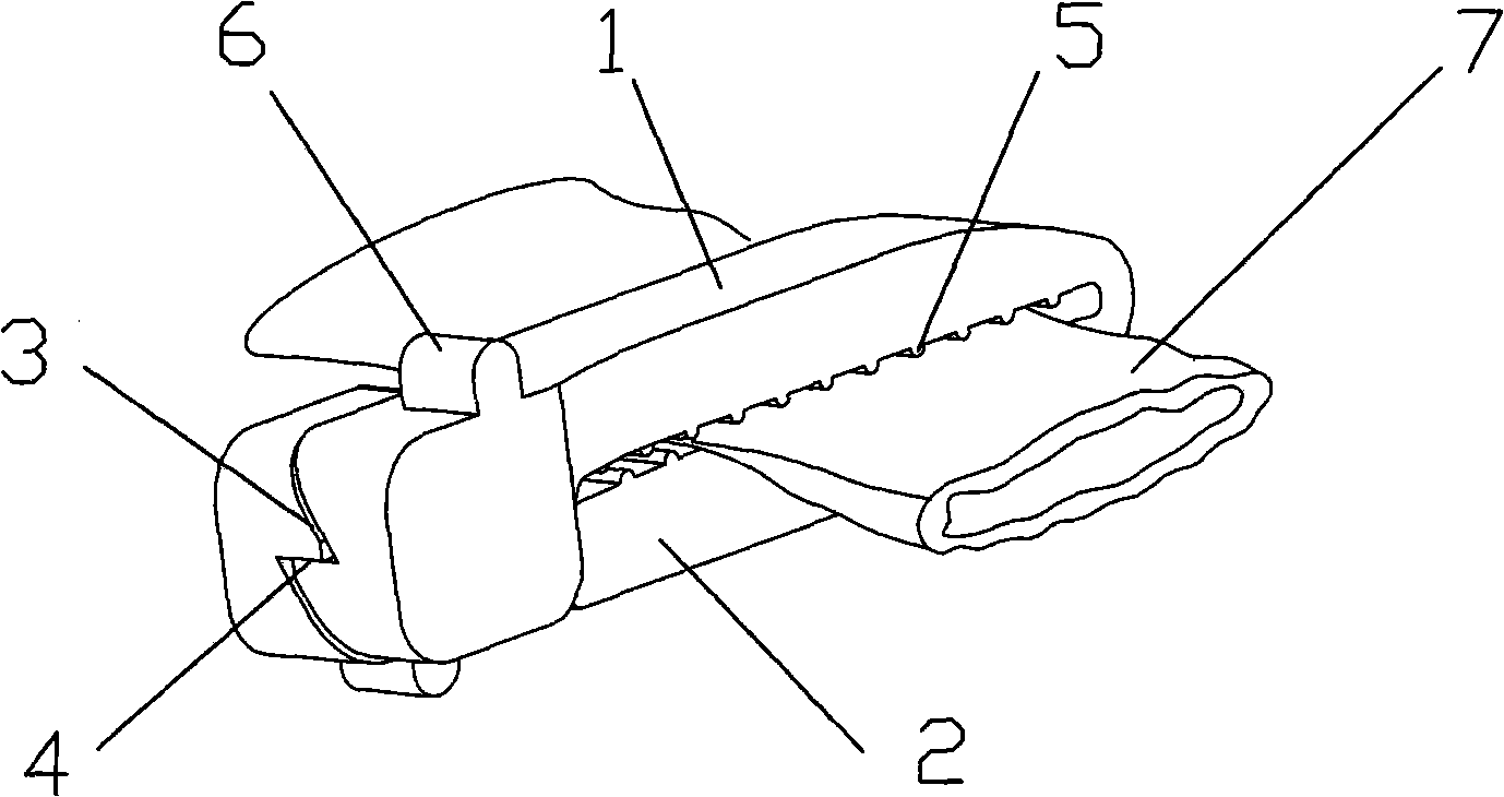 Vascellum clamp