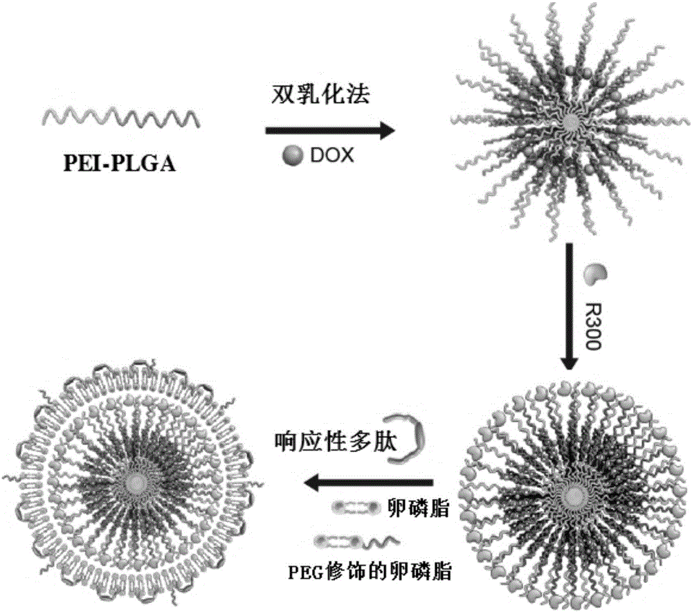 Lipidosome-polymer drug-loaded nanoparticle and preparation method and application thereof
