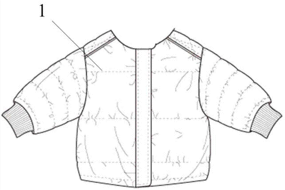 Down jacket with outer layer capable of being replaced