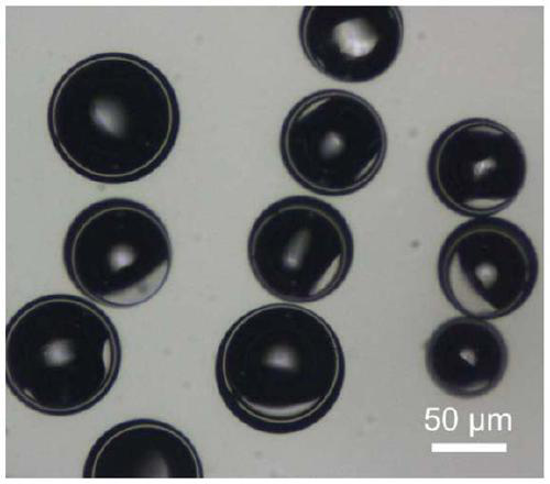 Self-repairing hydrogel microcapsule composite material and preparation method thereof, self-repairing lithium-sulfur battery cathode and battery