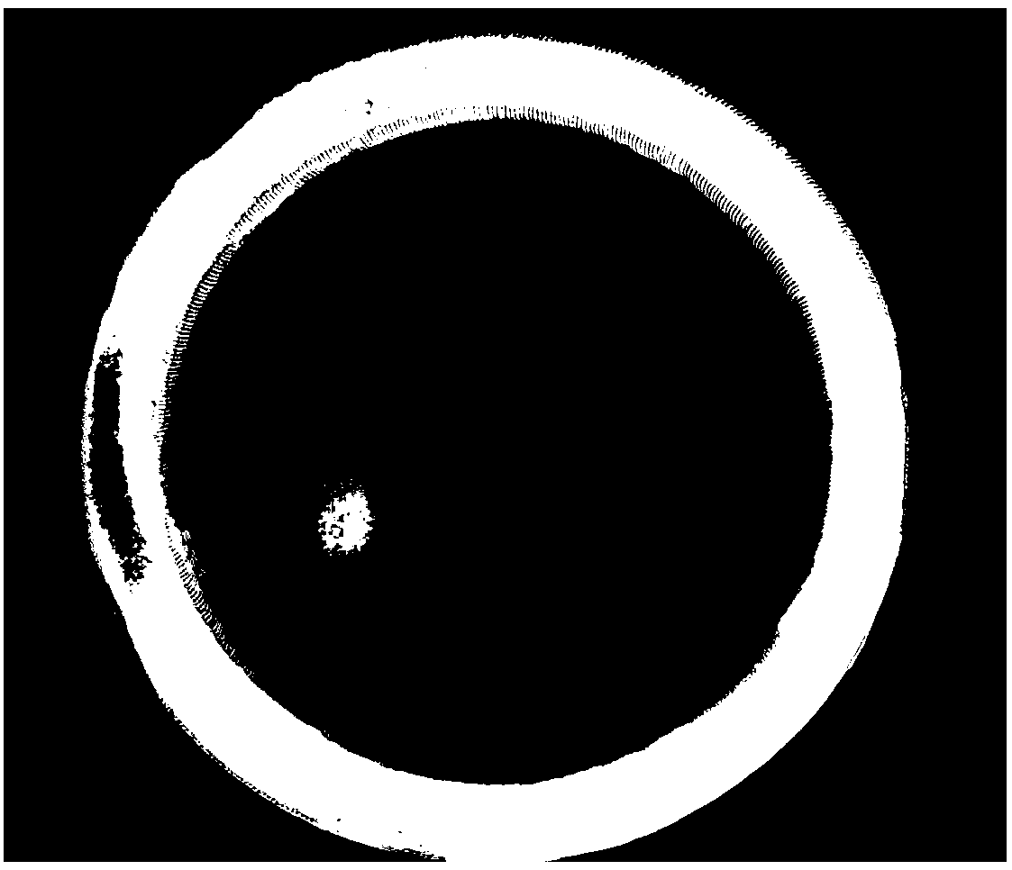 Large-diameter valve sealing ring surfacing method