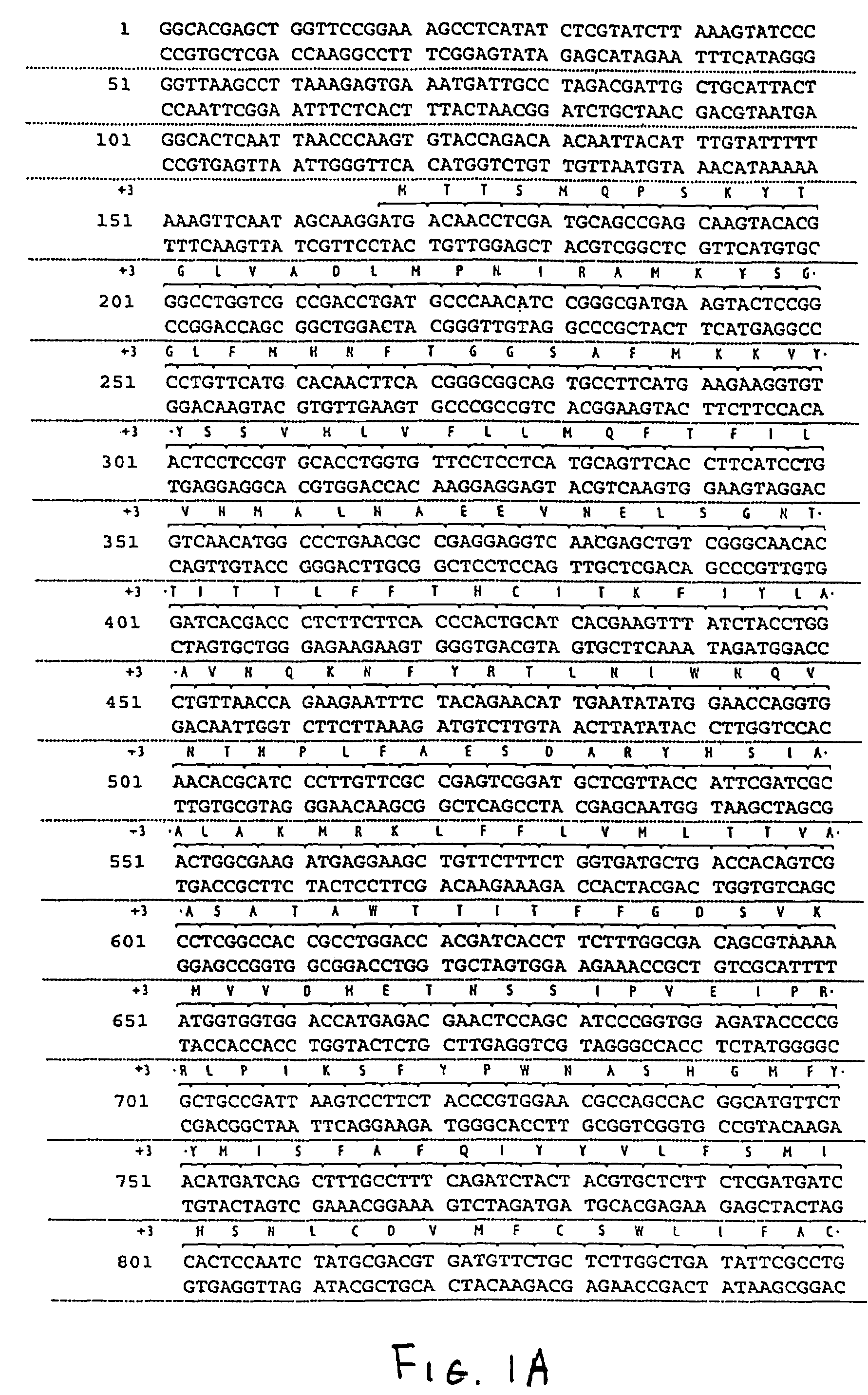 Nucleic acids and proteins of insect Or83b odorant receptor genes and uses thereof