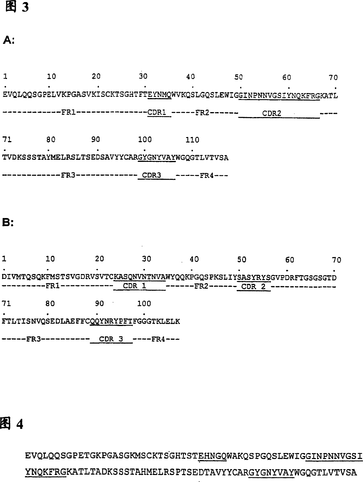 Anti-idiotype anti-CEA antibody molecules and its use as cancer vaccine