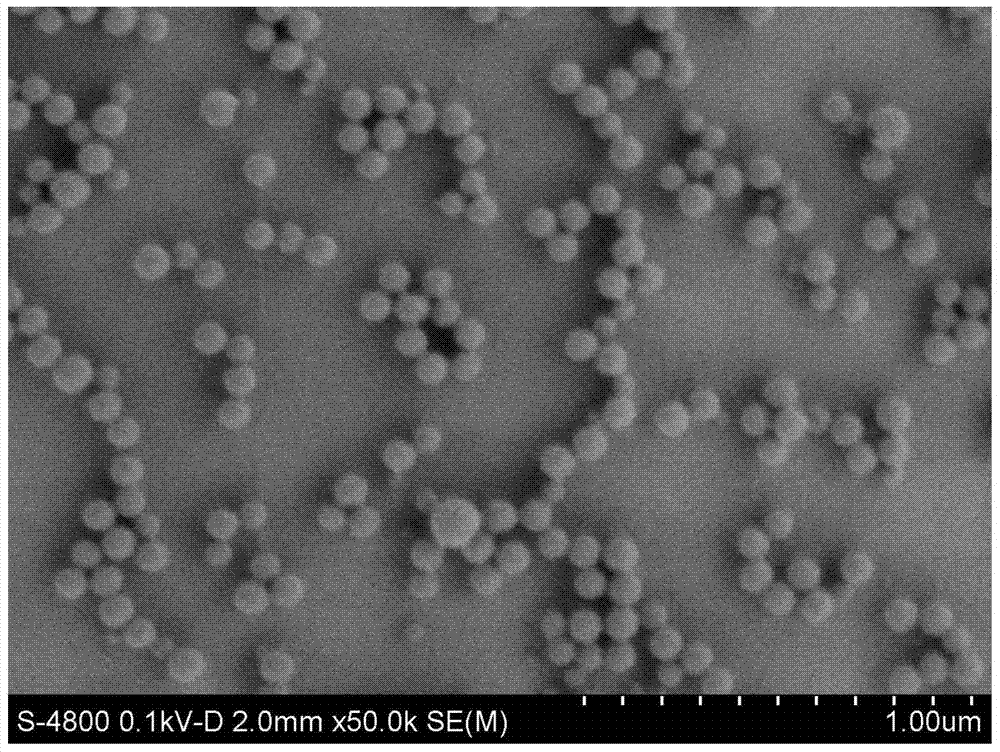 Preparation method for rosinyl composite nano polymer micro-sphere