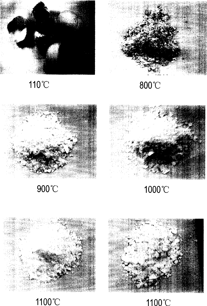 Eggshell calcium oxide powder and preparation and application thereof