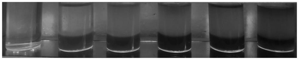 Method for detecting doping of camellia oil