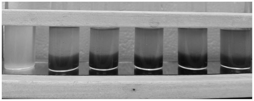 Method for detecting doping of camellia oil