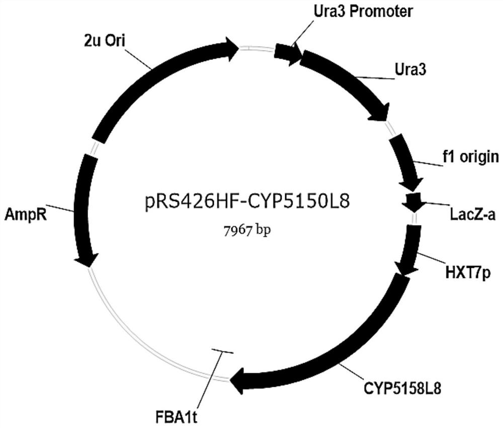 Method for Heterologous Biosynthesis of Ganoderma Acid by Synthetic Biology
